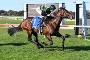 LINA'S LEGEND STORMS INTO GUINEAS CALCULATIONS